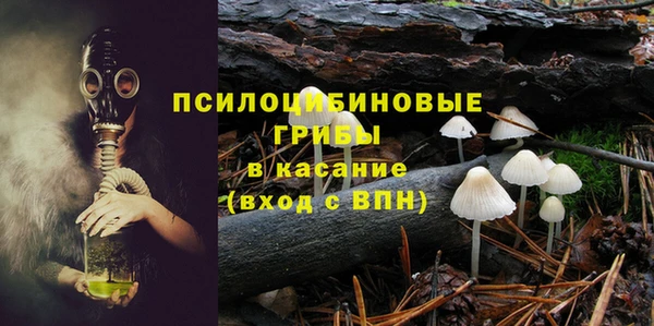 трава Медвежьегорск
