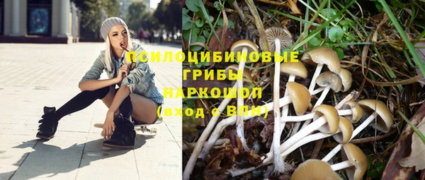 трава Медвежьегорск