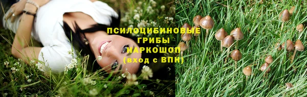 СК Мегион