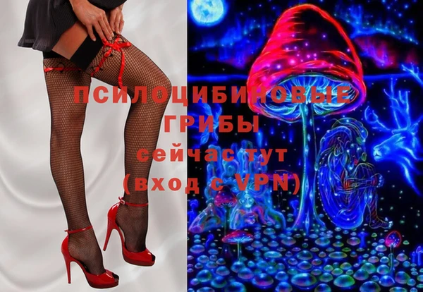 трава Медвежьегорск