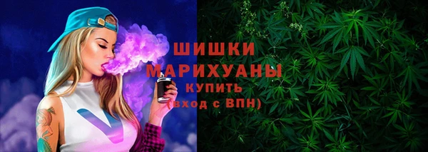 трава Медвежьегорск