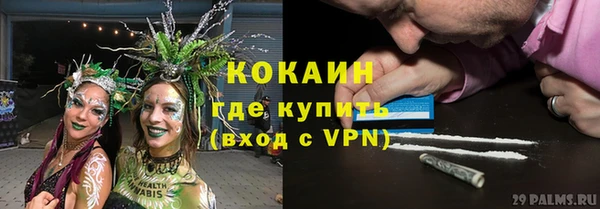 трава Медвежьегорск