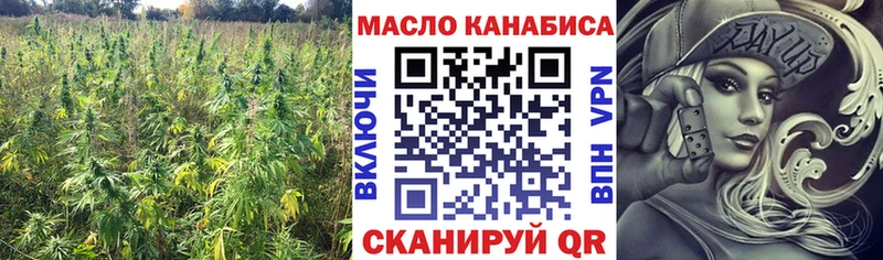 Купить  Медвежьегорск  ТГК жижа 